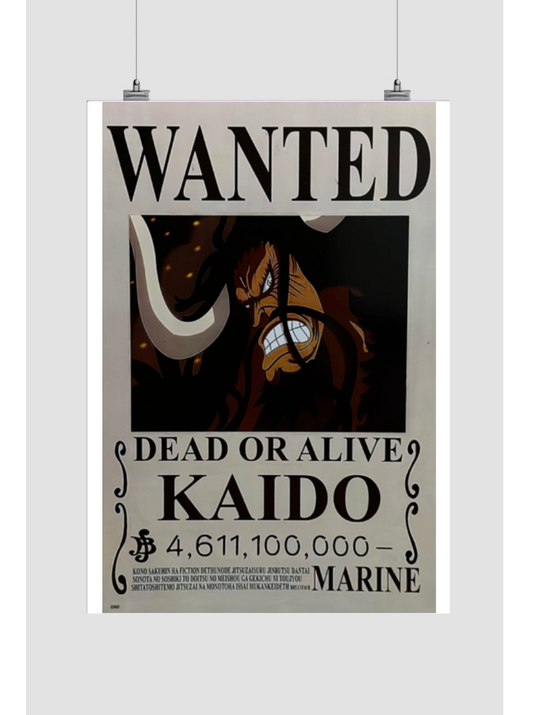Kaido x one piece poster