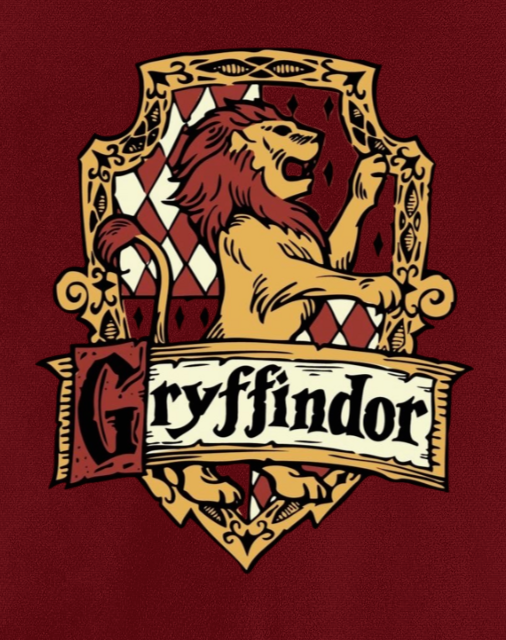 Gryffindor x Harry Potter Varsity jacket