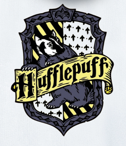 Hufflepuff x Harry Potter oversized hoodie