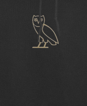 Drake oversized hoodie