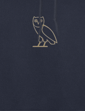 Drake oversized hoodie