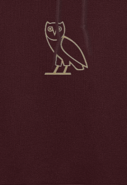 Drake oversized hoodie