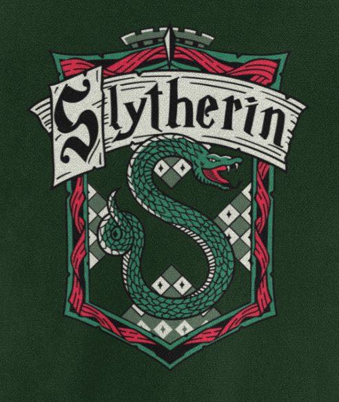 Slytherin x Harry Potter varsity jacket