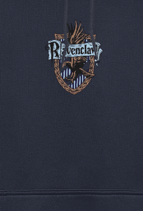 Ravenclaw x Harry Potter oversized hoodie