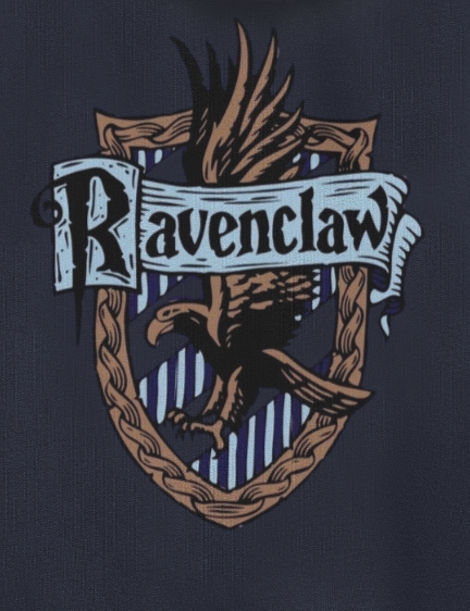 Ravenclaw x Harry Potter oversized hoodie